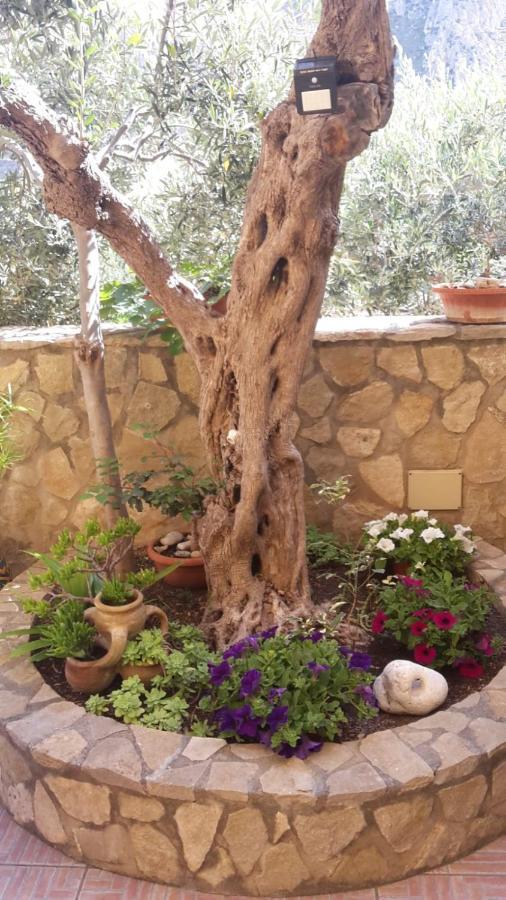 Modus Bed & Breakfast San Vito Lo Capo