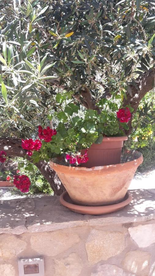 Modus Bed & Breakfast San Vito Lo Capo